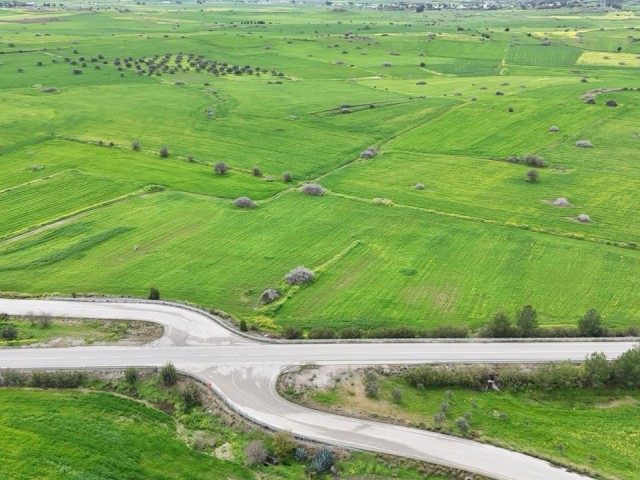 Karpaz neue Straße 5oom2 Entfernung