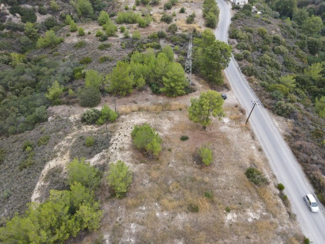 Land for Sale in Karmi, 6636 m2 975,000 stg with 7 villa projects being prepared