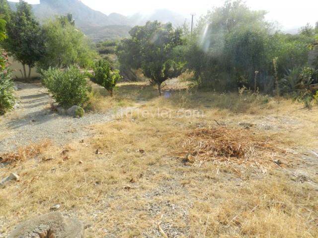 Bungalow Kaufen in Zeytinlik, Kyrenia