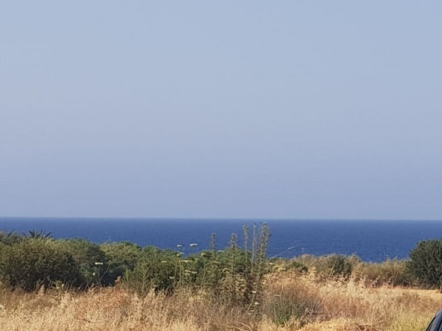 Erstaunlicher Urlaubskomfort in der Nähe der Lapta Beach Road