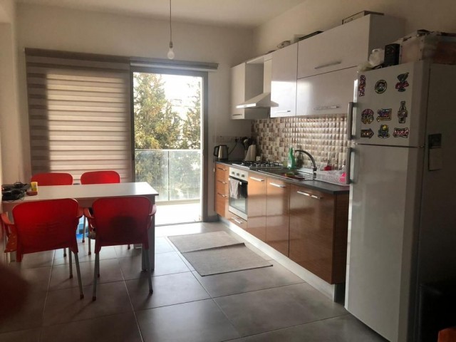 Penthouse To Rent in Hamitköy, Nicosia