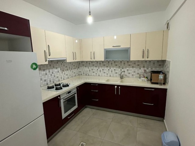 3+1 flat for rent near Kolan hospital