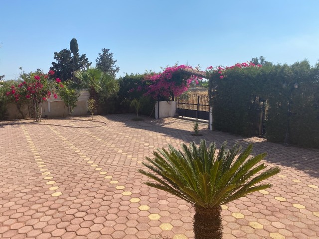 Villa To Rent in Yeni Boğaziçi, Famagusta