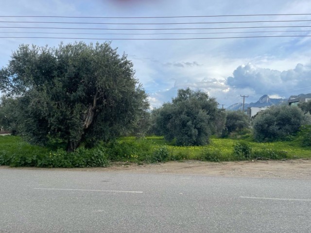 1983 m2 VILLA PROJECT READY LAND FOR SALE IN OZANKÖY