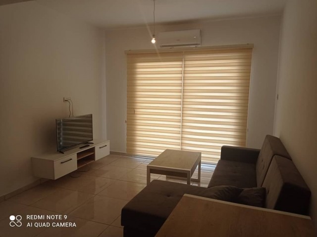 Flat To Rent in Marmara, Nicosia