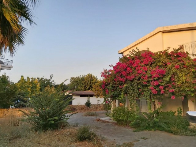 ویلا برای اجاره in Lapta, گیرنه