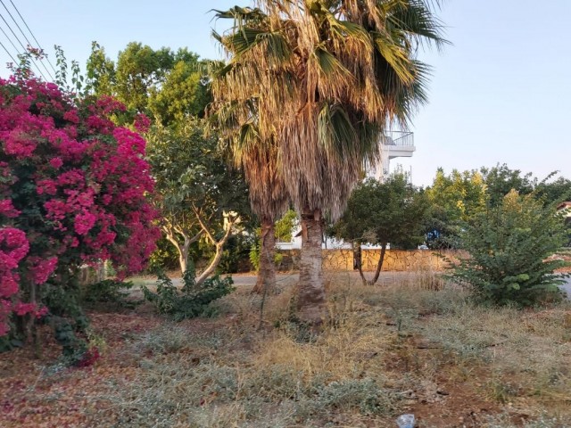 Villa Mieten in Lapta, Kyrenia