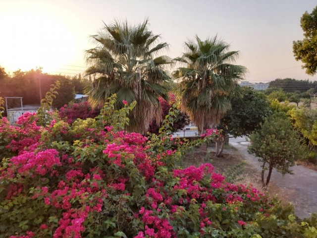 Girne Lapta da 3 yatak odalı villa