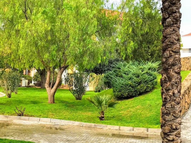 تخت برای فروش in Girne Merkez, گیرنه