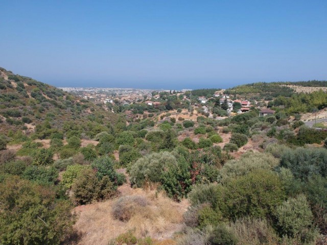 GİRNE'NİN EN HUZURLU BÖLGESİ YEŞİLTEPE'DE SATILIK ARSA