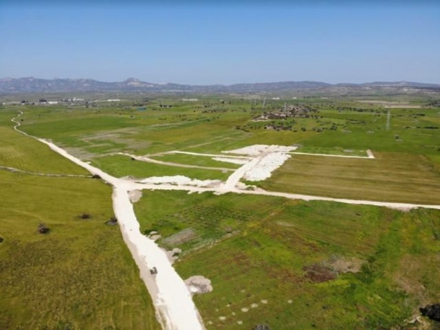 INVESTMENT OPPORTUNITY LANDS FOR SALE IN BAFRA! ** 