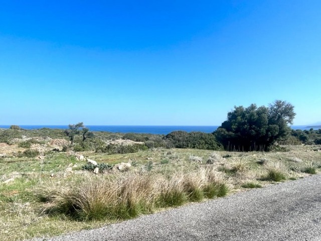 Investment land for sale in Kyrenia sadrazamköy!