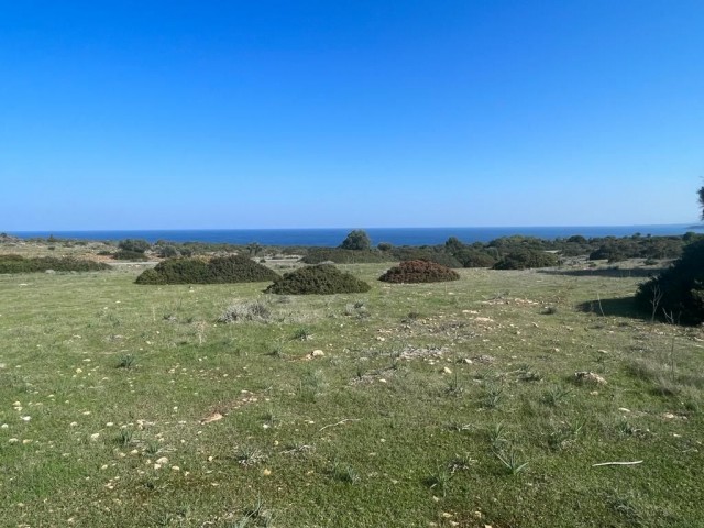 Investment land for sale in Kyrenia sadrazamköy!