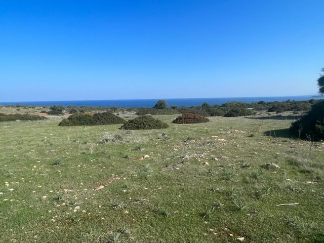 Investment land for sale in Kyrenia sadrazamköy!