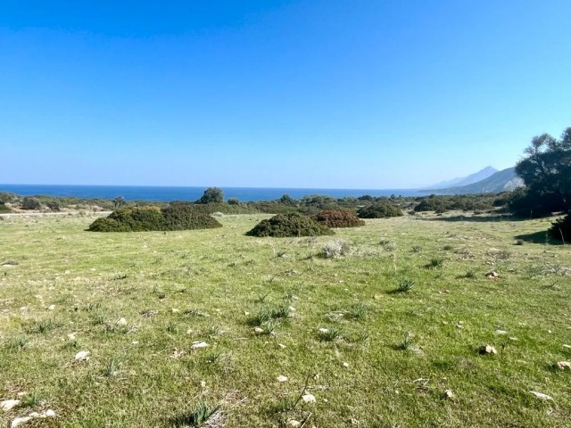 Investment land for sale in Kyrenia sadrazamköy!