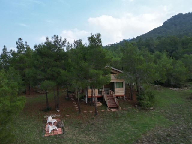 Wooden chalet for sale in an amazing location in Tatlısu!