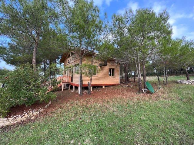 Wooden chalet for sale in an amazing location in Tatlısu!