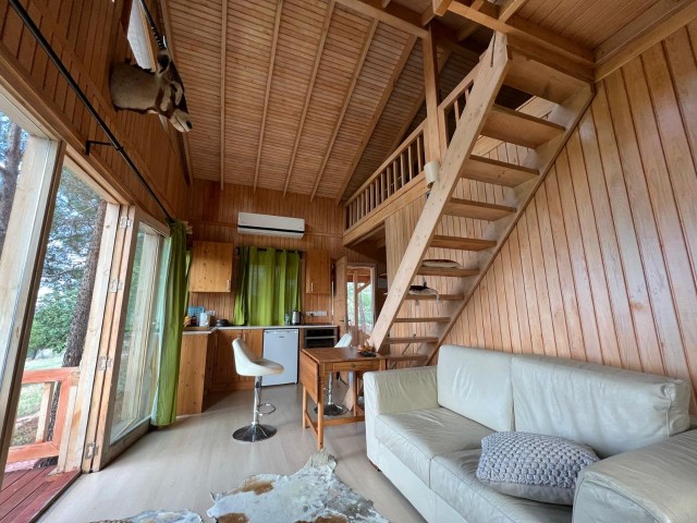 Wooden chalet for sale in an amazing location in Tatlısu!