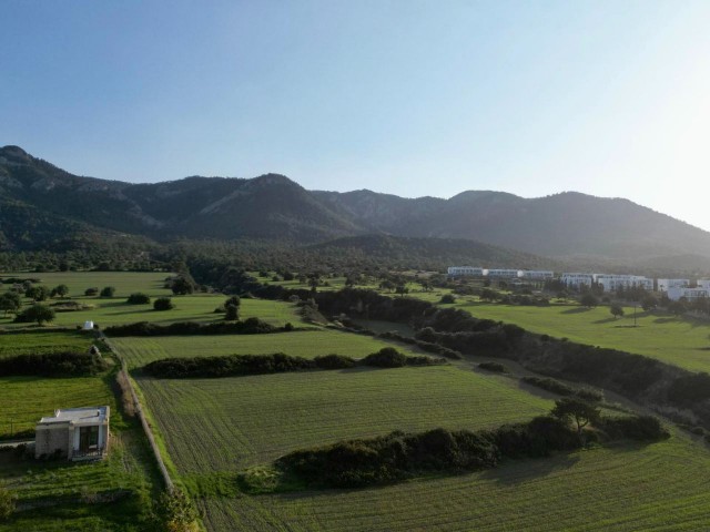 An der Hauptstraße, nur wenige Gehminuten vom Meer entfernt, stehen 22 Acres zum Verkauf