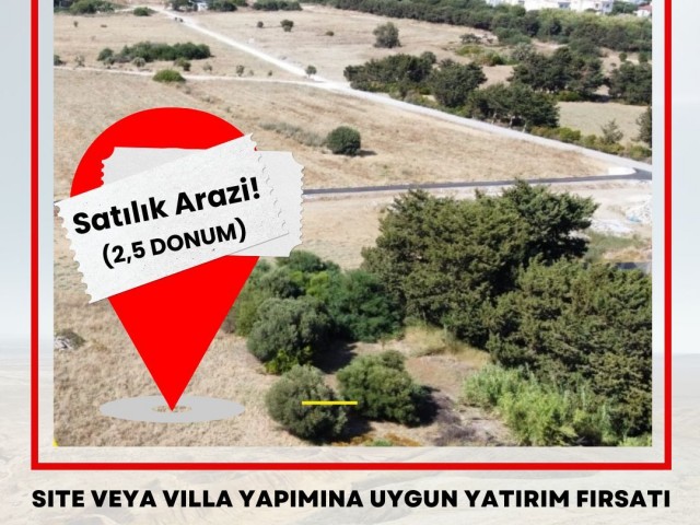 Feld Zu verkaufen in Lapta, Kyrenia