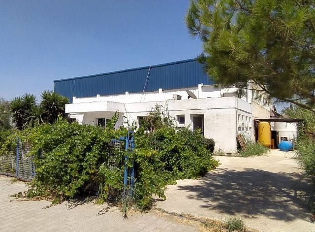 Business For Sale in Haspolat, Nicosia