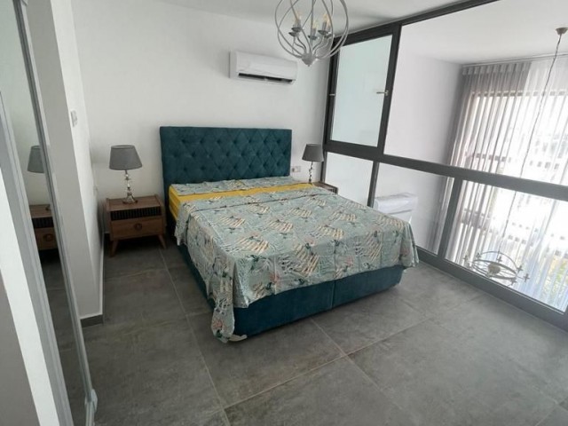 1 Bedroom Brand New Duplex Penthouse Fully Furnished 