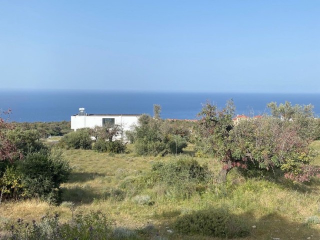 UNUBSTRACTED VIEW OF SEA AND MOUNTAIN ✔️Close to main road 