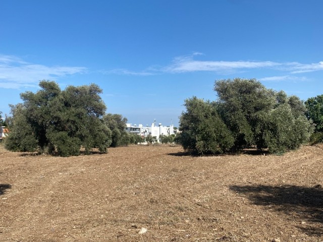 3 ACRES OF PLOT FOR SALE ON THE MAIN ROAD