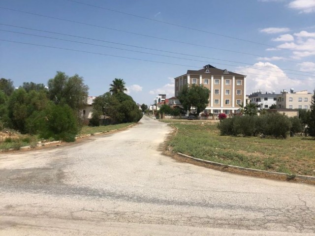 Halb freistehend Kaufen in Hamitköy, Nikosia