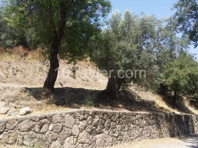 Residential Zoned Plot For Sale in Lapta, Kyrenia