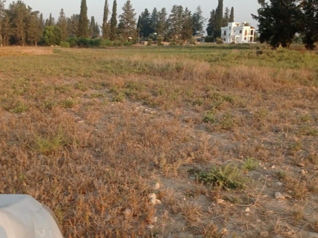 LAND FOR SALE IN GAZİMAĞUSA/İNÖNÜ