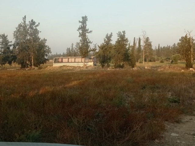 LAND FOR SALE IN GAZİMAĞUSA/İNÖNÜ