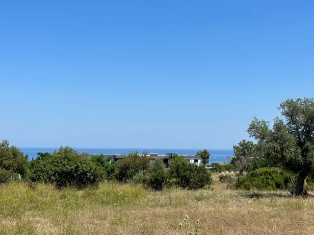 LAND FOR SALE IN GIRNE/ÇATALKÖY