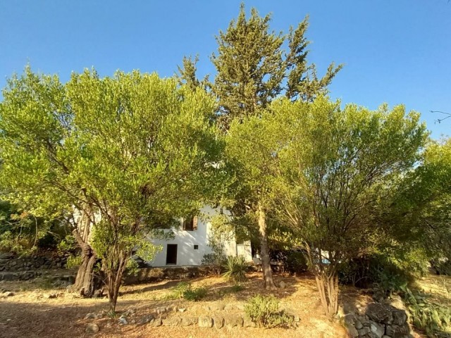 LAND FOR SALE WITH OLD STONE IN KYRENIA/LAPTA