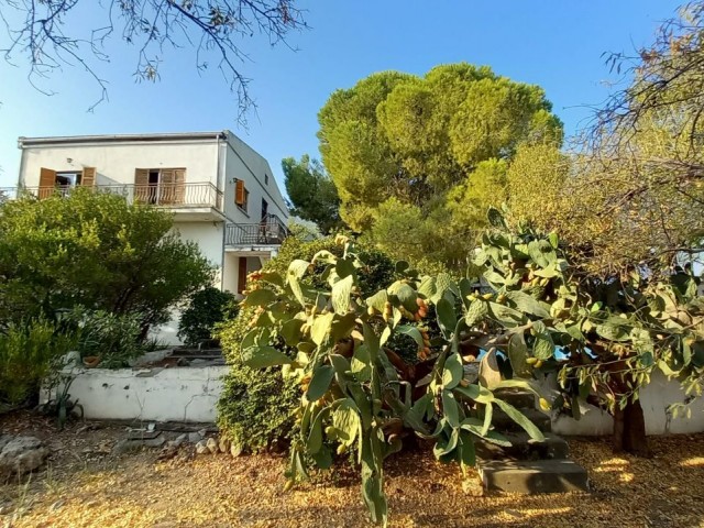 GRUNDSTÜCK ZUM VERKAUF MIT ALTEN STEIN IN KYRENIA/LAPTA