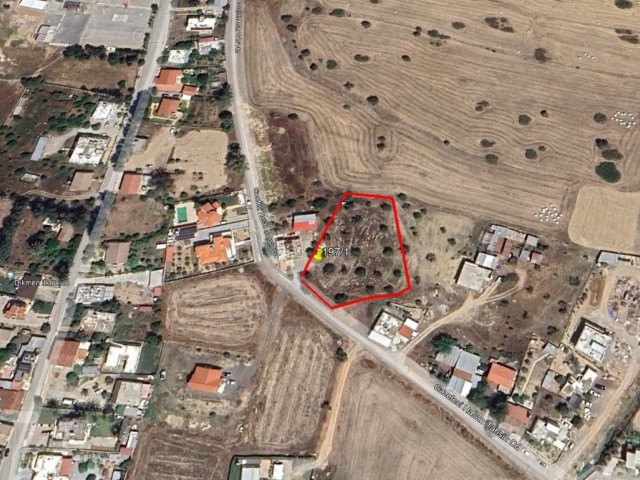 FIELDS FOR SALE IN GIRNE/YUKARI DİKMEN