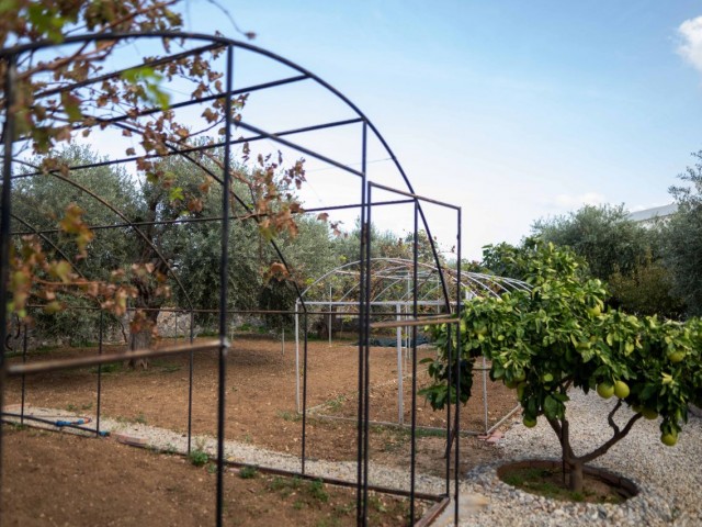 ATEMBERAUBENDE VILLA MIT GROSSEM GARTEN ZUM VERKAUF IN GIRNE/ZEYTİNLİK