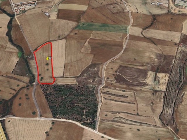 17 DECLARATIONS OF 3 EVLEK FIELDS FOR SALE IN GİRNE/YUKARI DİKMEN