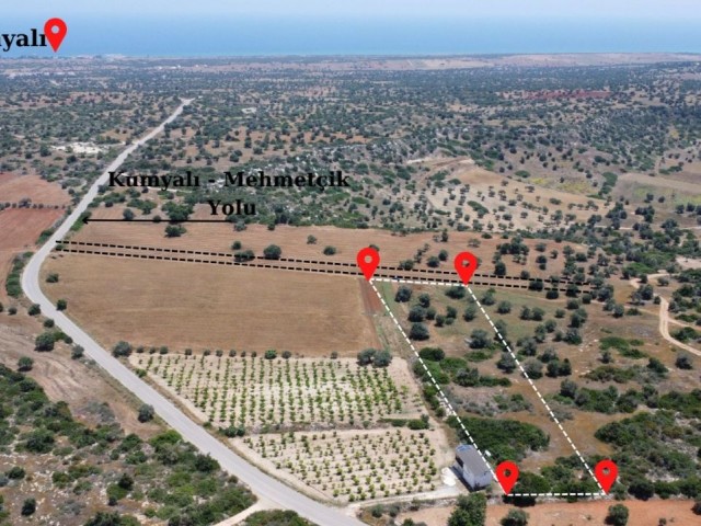 زمین برای فروش در İSKELE/MEHMETÇİK (4 کیلومتر از ساحل شنی)