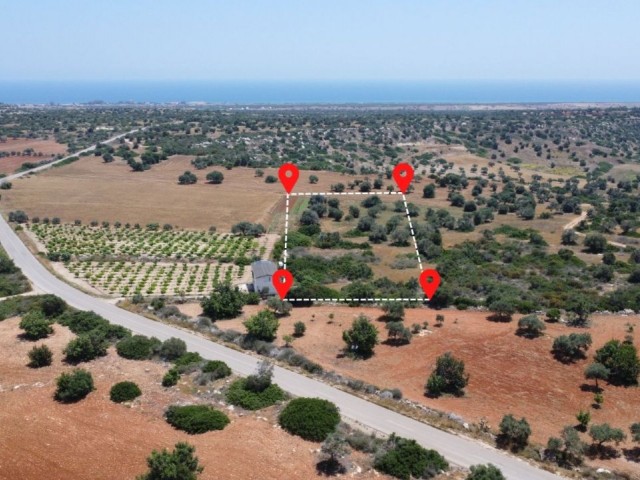 LAND FOR SALE IN İSKELE/MEHMETÇİK (4 KM FROM THE SANDY BEACH)