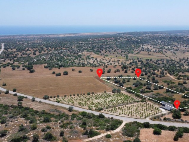 LAND FOR SALE IN İSKELE/MEHMETÇİK (4 KM FROM THE SANDY BEACH)