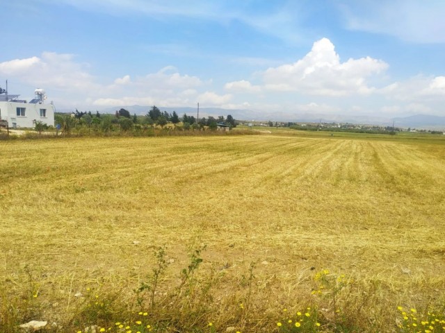 LAND FOR SALE IN İSKELE/KUZUCUK