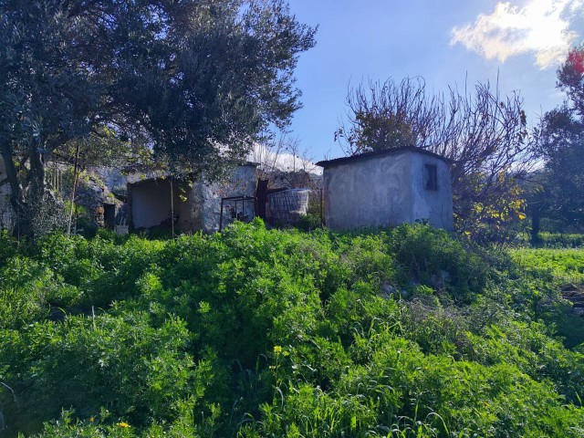 ALTES DORFHAUS ZUM VERKAUF IN GIRNE/OZANKÖY