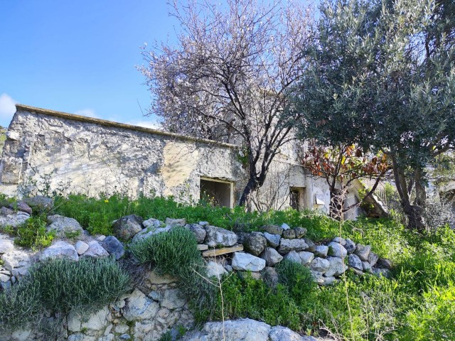 ALTES DORFHAUS ZUM VERKAUF IN GIRNE/OZANKÖY