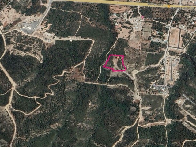 LAND WITH PROJECT FOR SALE IN GİRNE/ZEYTİNLİK