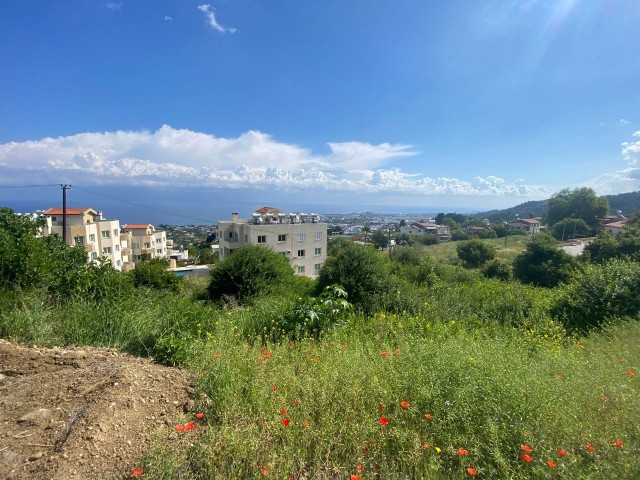 GRUNDSTÜCK ZUM VERKAUF IN GİRNE/LAPTA BAŞPINAR