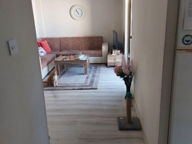 GİRNE KAŞGAR BÖLGESİNDE KİRALIK 1+1 EŞYALI DAİRE