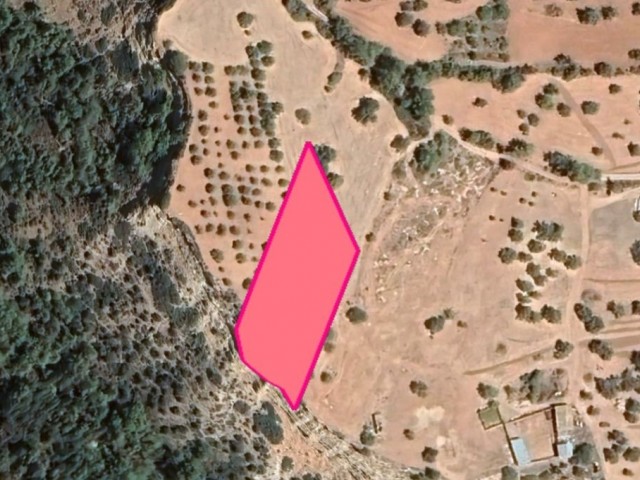 LAND FOR SALE IN KIRNE/KARAAĞAÇ