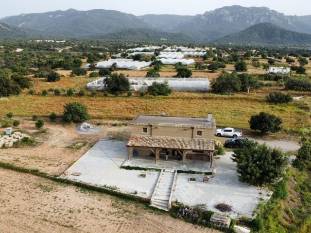 3+1 LOFT-BAUERNHAUS ZUM VERKAUF AUF 3 DEKARA GRUNDSTÜCK IN MAGUSA/TATLISU