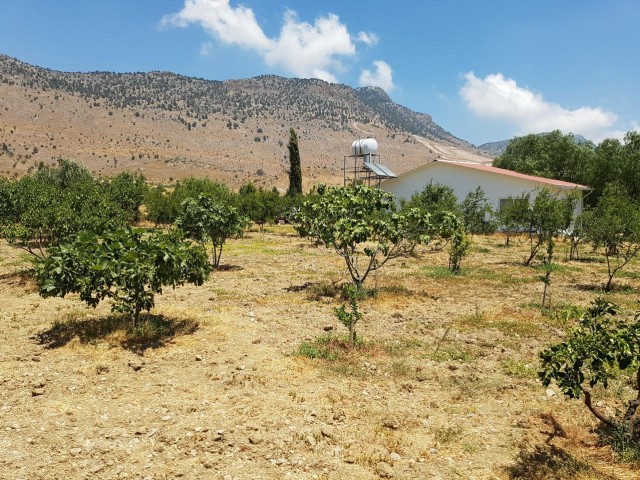 GARTEN ZUM VERKAUF ** 